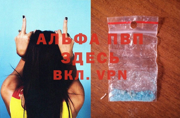 дживик Пересвет