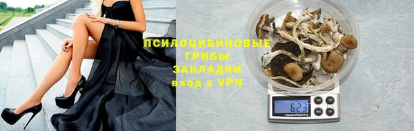 spice Армянск