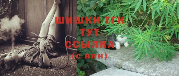 СК Балахна