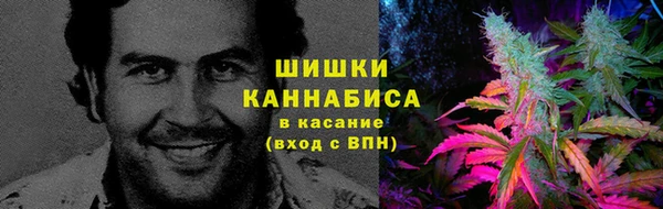 apvp Арсеньев